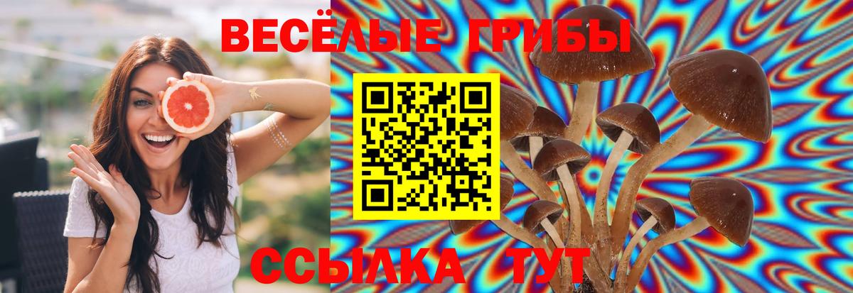 Галлюциногенные грибы ЛСД  как найти наркотики  Вход с VPN  Светлоград  Галлюциногенные грибы MAGIC MUSHROOMS 
